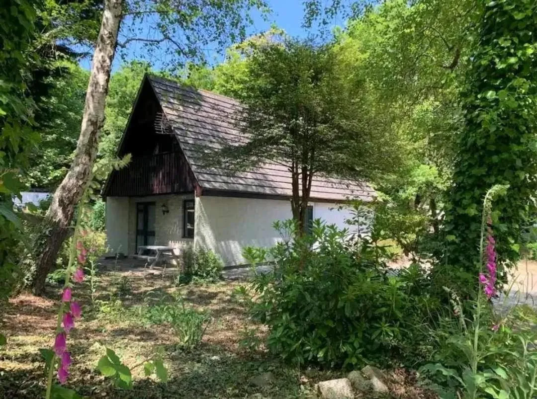 Image 6 of St Ives Fir Tree Lodge