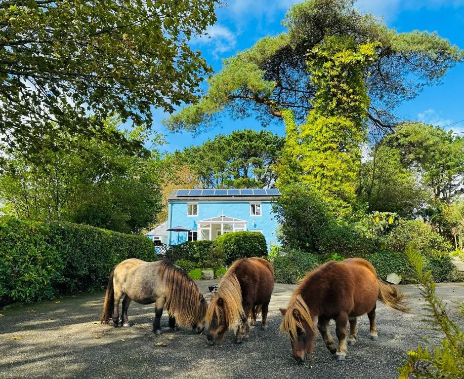 Image of Bay View Cottage