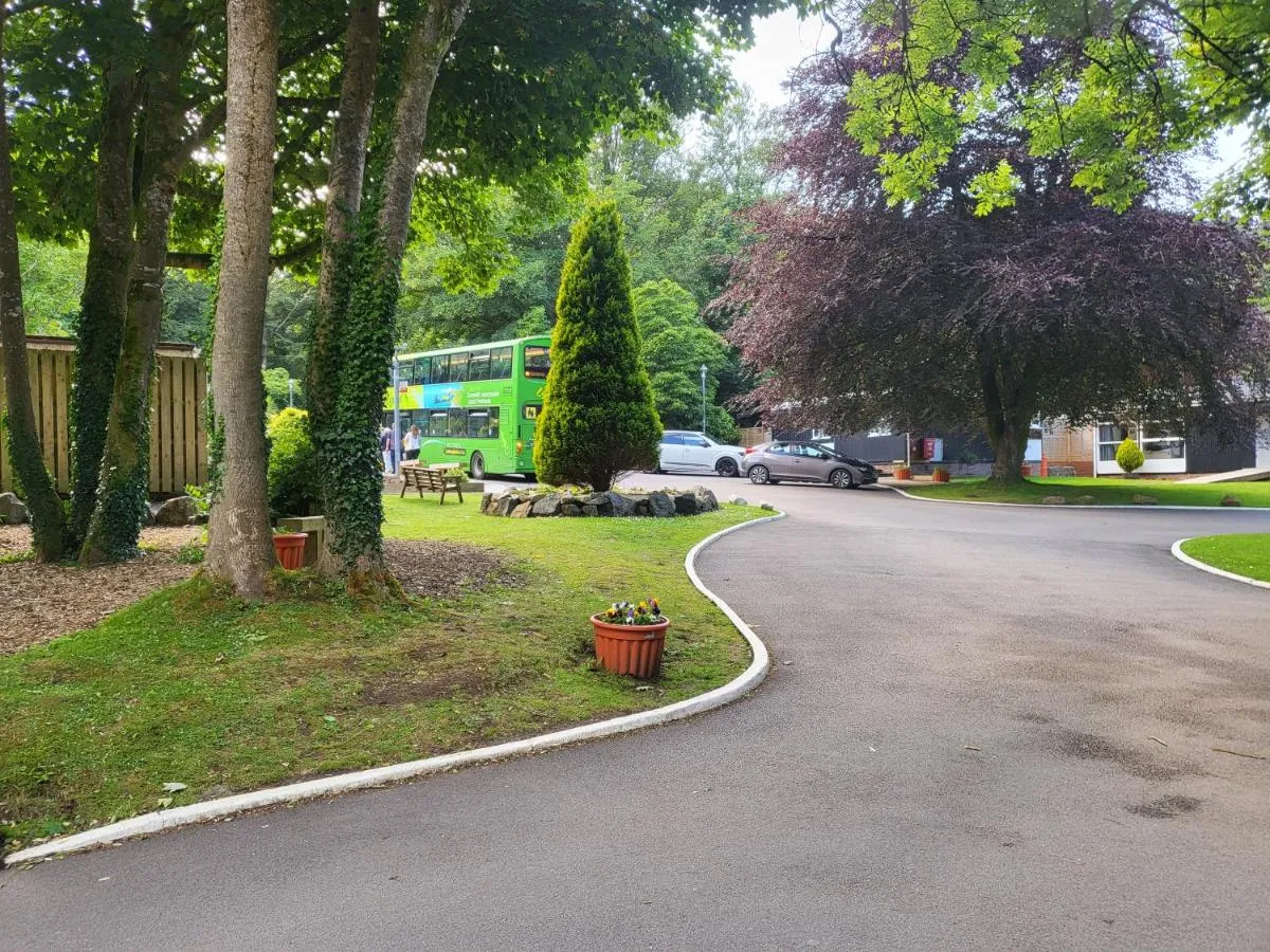 Image 6 of Bumbeldink
