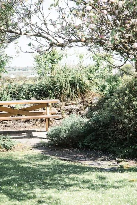 Image 5 of Charming Cottage near Beach!