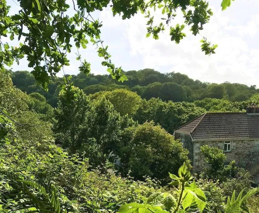 Image of Cosy retreat in beautiful Cornwall
