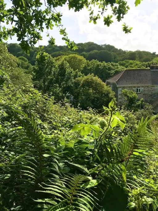 Image 3 of Cosy retreat in beautiful Cornwall