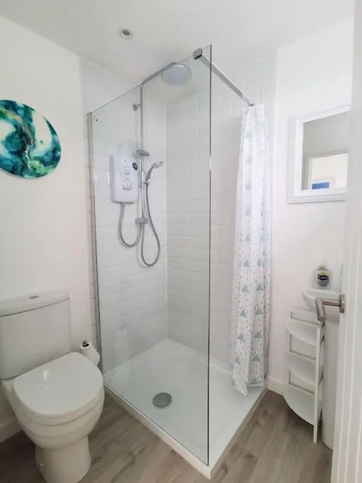 Image 5 of Eastern Green Apartment, Penzance – Beach access and Parking