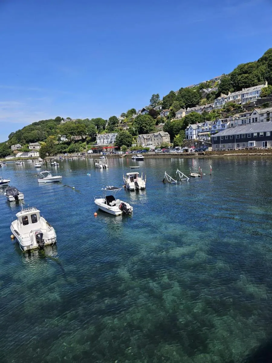 Image 5 of Fieldhead Hotel, Looe