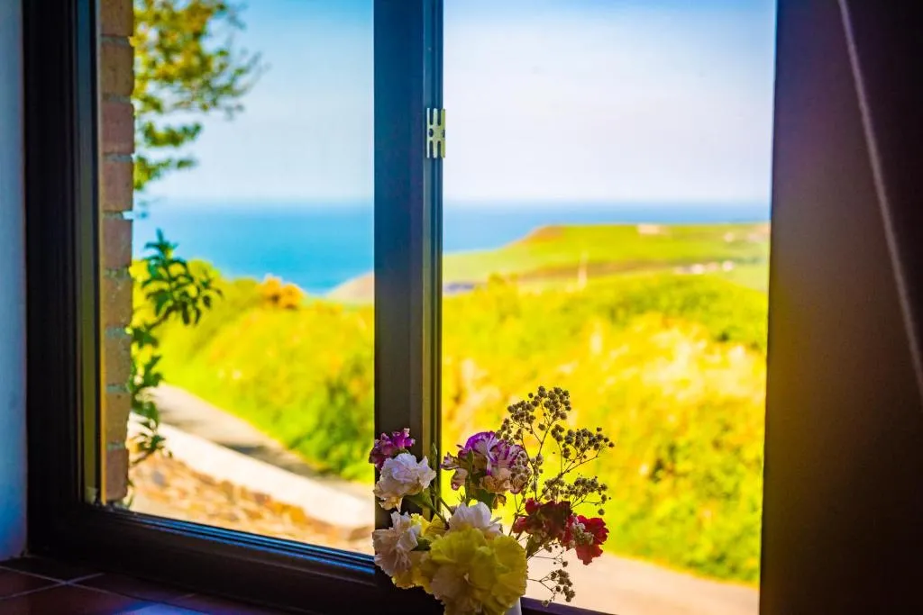 Image of Polrunny Farm Elderberry Cottage with sea view