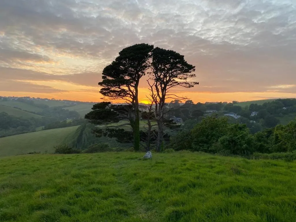 Image of Ramble & Rye – The Nest