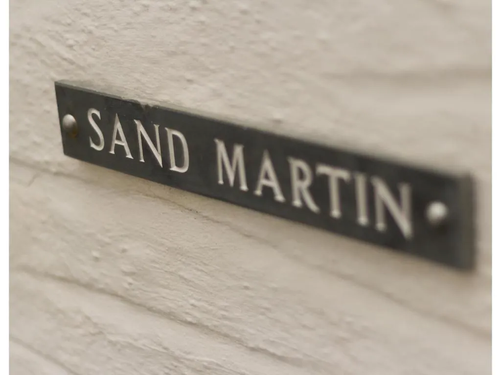 Image of Sand Martin