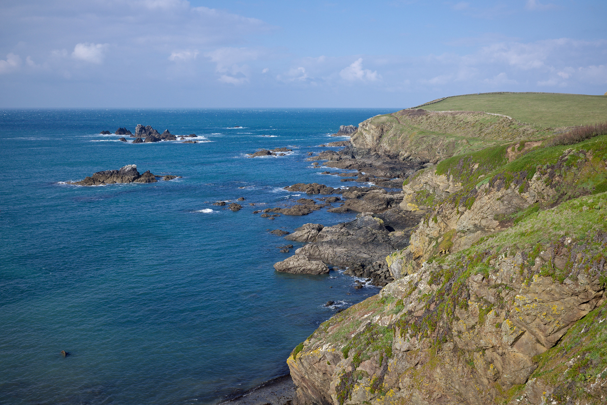 Lizard Point