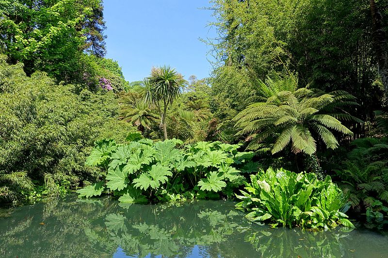 The Lost Gardens of Heligan